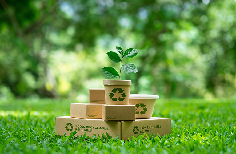 Cordiality - ����